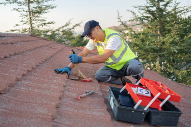 Best Tile Roofing Contractor  in Lake Andes, SD